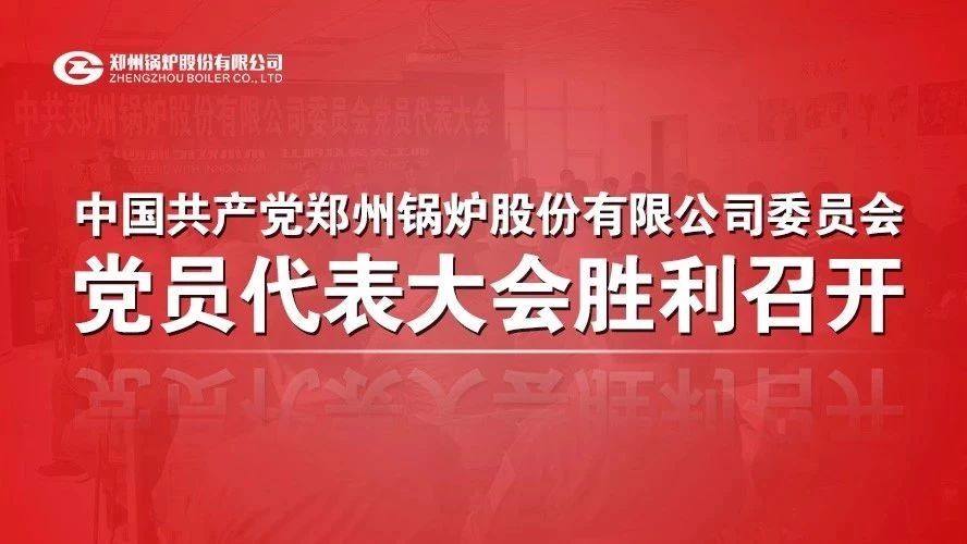 中共w66國際·利來股份有限公司委員會黨員代表大會順利召開