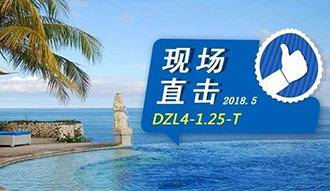 現場直擊丨看生物質鍋爐在巴厘島如何強操作，回頭客非它不選